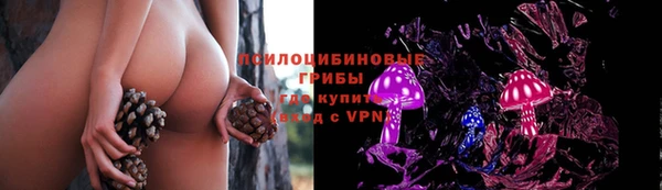 дживик Алзамай