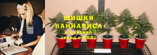 трава Алексин